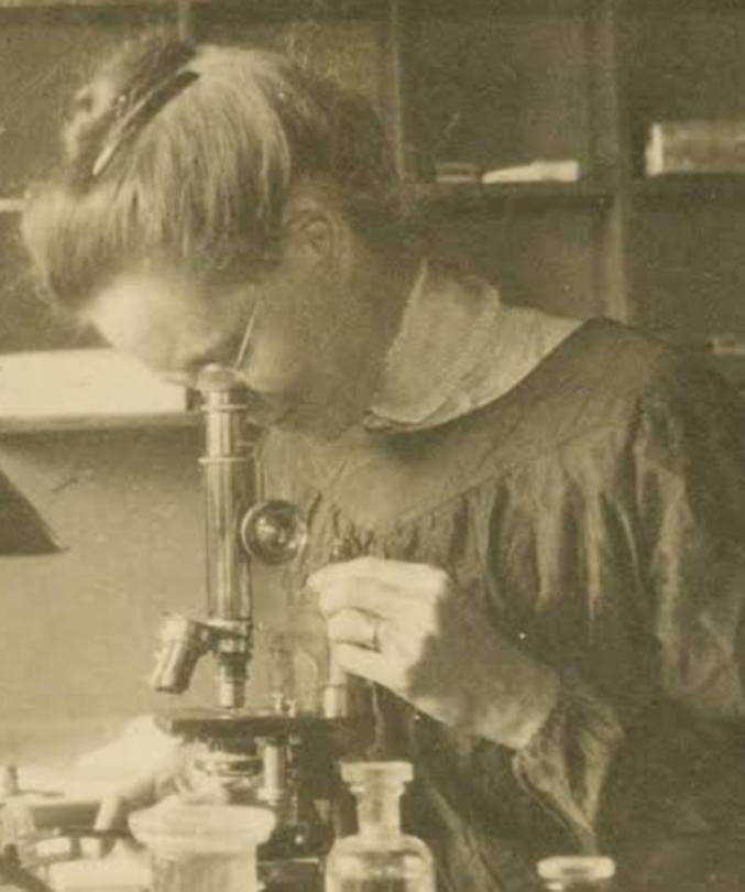 Nettie Stevens Kimdir?