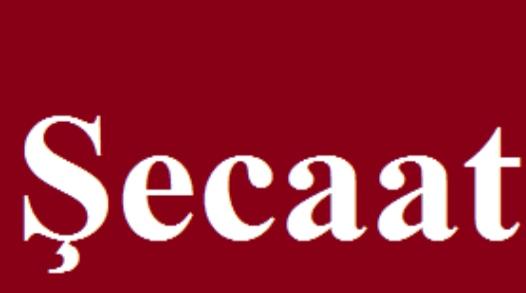 Şecaat Nedir?Şecaat Ne Demek? Şecaat Anlamı Ve Örnekleri
