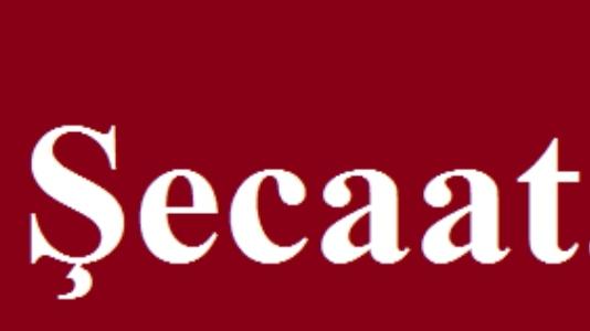 Şecaat Nedir?Şecaat Ne Demek? Şecaat Anlamı Ve Örnekleri