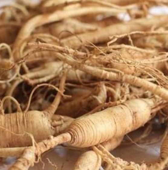 Ginseng Nedir, Faydaları Nelerdir?