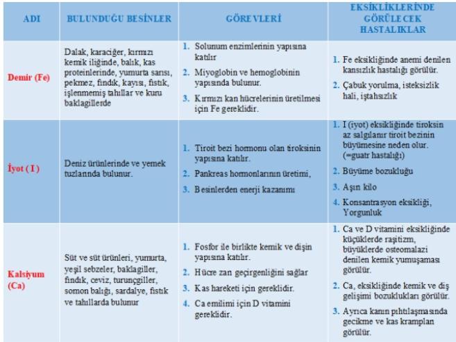 Biyolojide Mineraller Konusu 