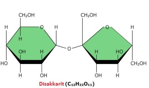 Disakkaritler Nelerdir?Disakkarit Nedir, Özellikleri Neler?