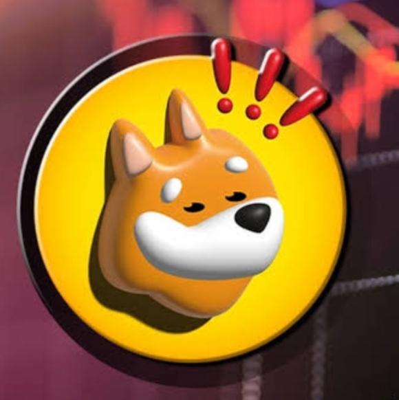 Bonk Coin Nedir?