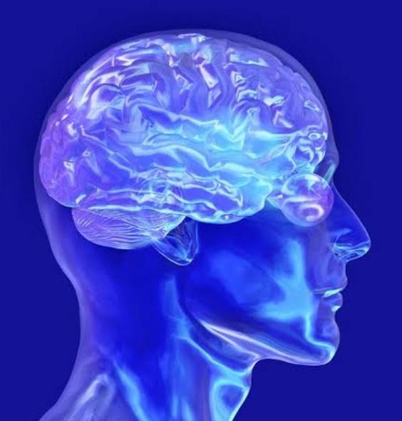 To see the brain in a dream