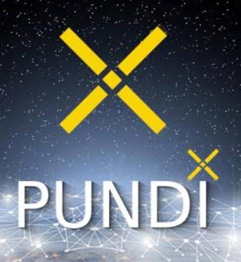 Pundi X Coin Nedir?