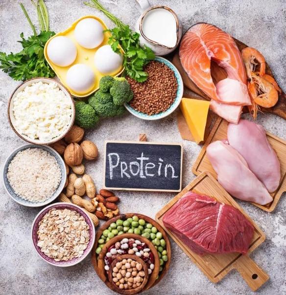 Protein Nedir?Hangi Besinlerde Bulunur?