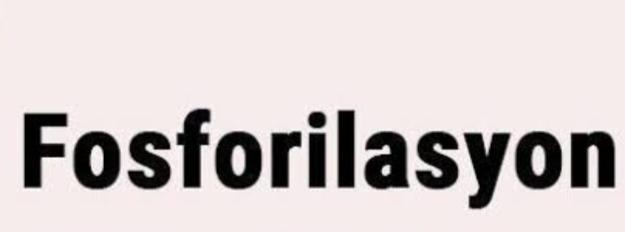 Substrat Düzeyinde Fosforilasyon Nedir?