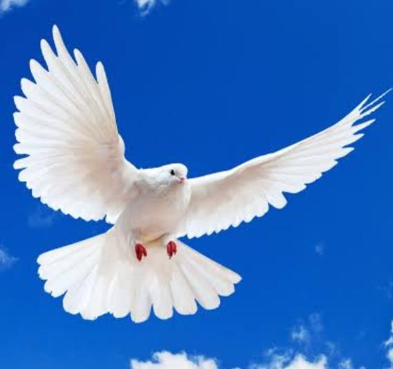 What does it mean to dream about peace?