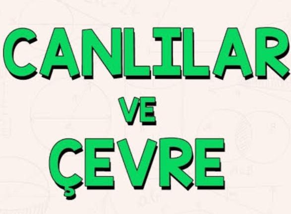Canlılar ve Çevre Konusu