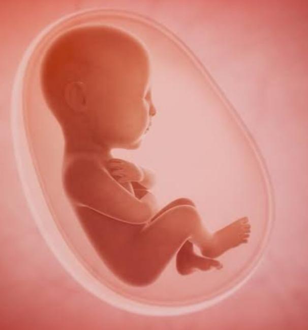 Dream of Fetus