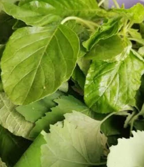 Hoşkıran Nedir, Faydaları Nelerdir?