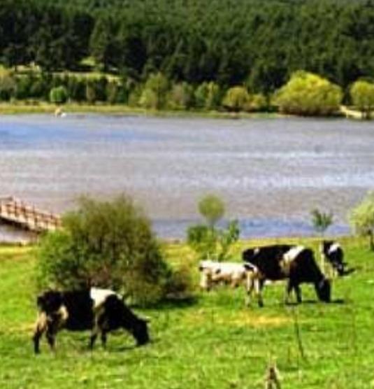 Canlılar ve Çevre Konusu