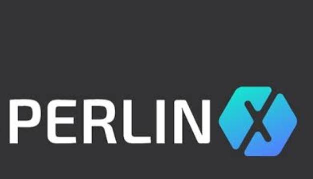 Perl Coin Nedir?