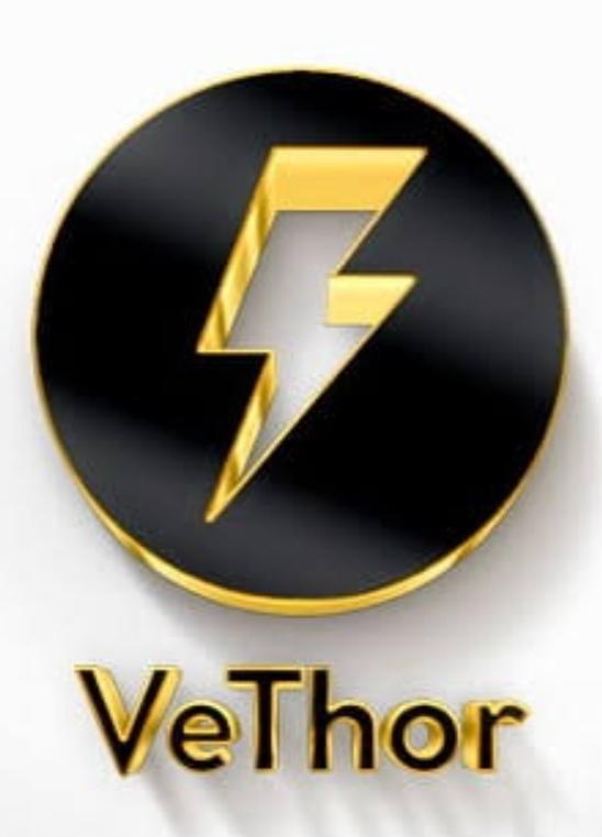 Vtho Coin Nedir?