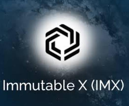 IMX Coin Nedir?