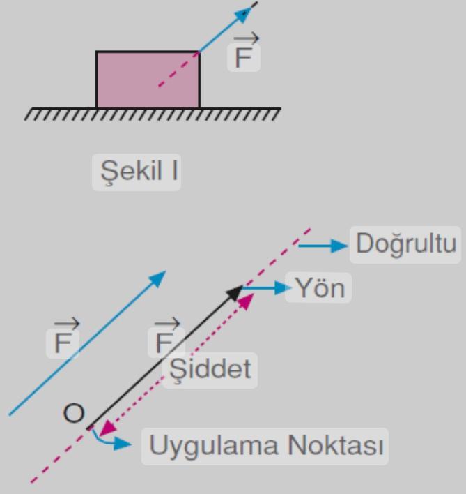 Vektör nedir?