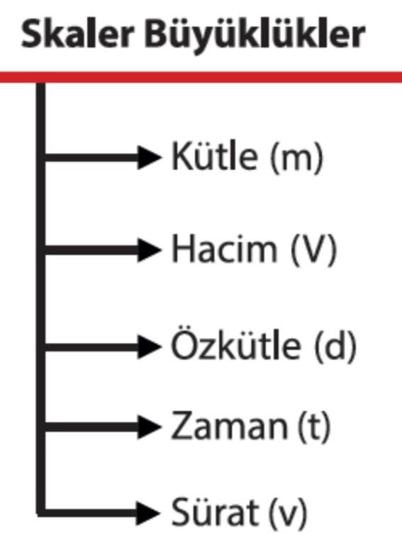 Skaler nedir?
