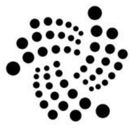 IOTA Coin Nedir?