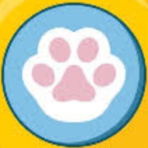 PAW Coin Nedir?