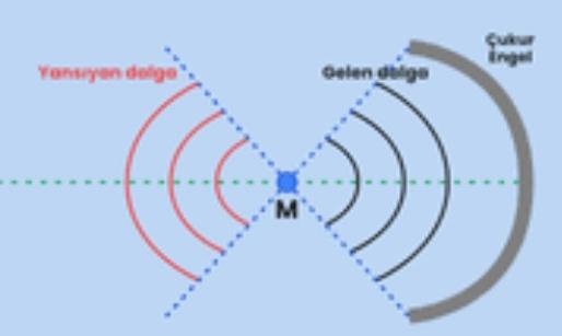 Fizikte su dalgaları nedir?