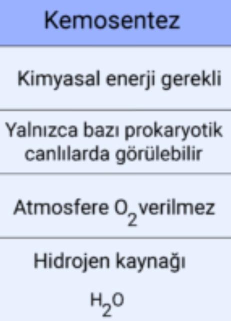 Kemosentez nedir?