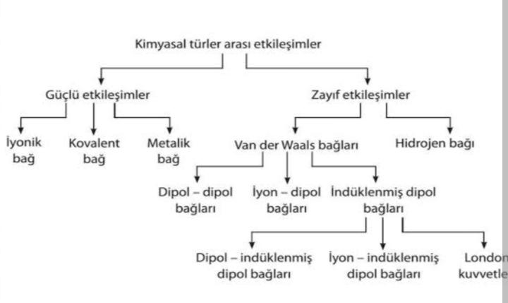 Pokemon Ağustos 2021’i Sunuyor: nerede izlenir, ne beklenir ?