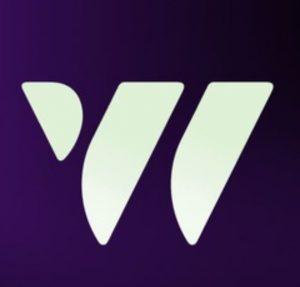 W-Coin Nedir?